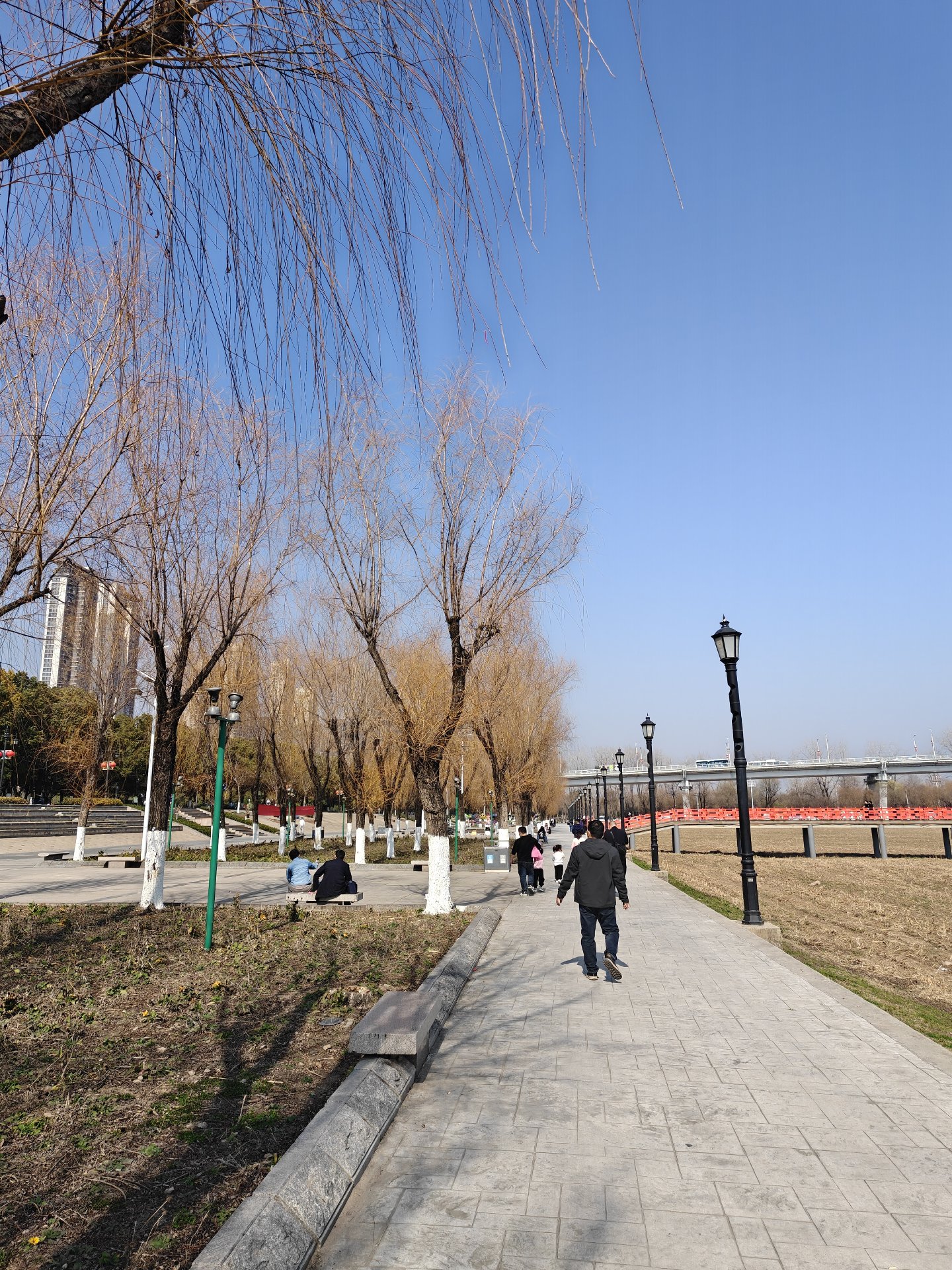 生活无非是碎银几两 - 图 5 共 5 张