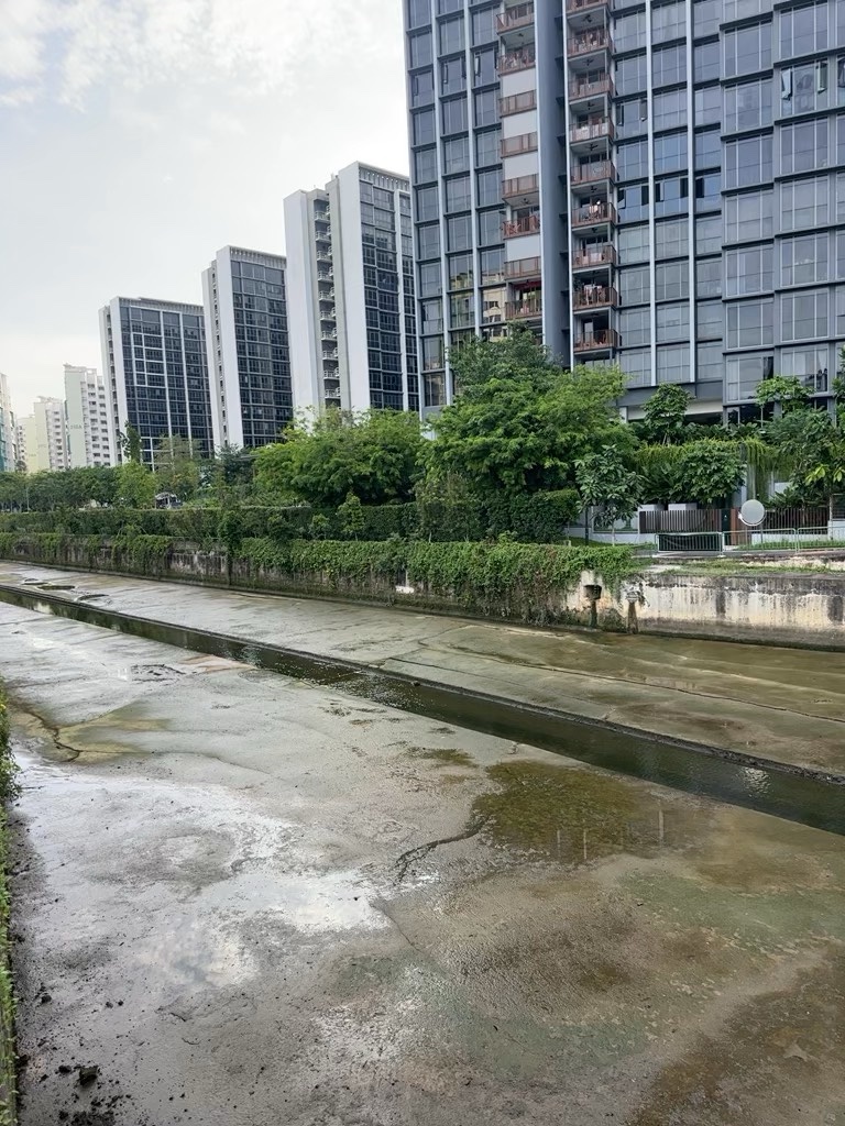 河边散步